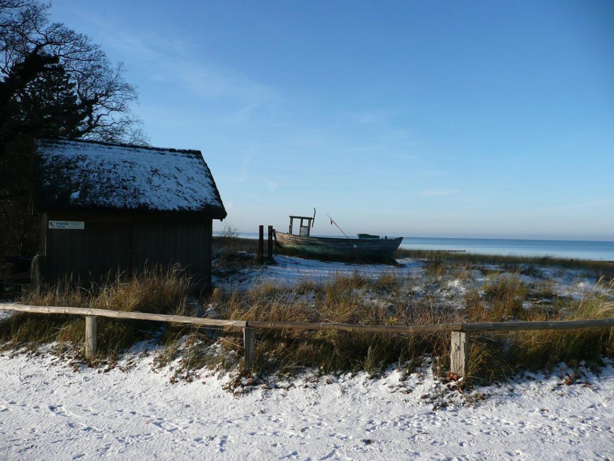 Residenz Am Strand Wohnung 2-36 Zingst Dış mekan fotoğraf